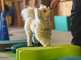 Spiel, Spass & Freude