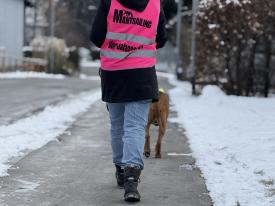 Mantrailing ist eine spannende und vielseitige Beschäftigungsmöglichkei