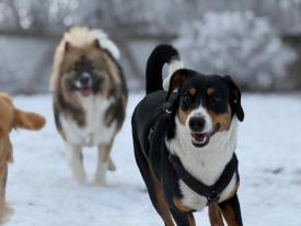 Freunde treffen Freunde