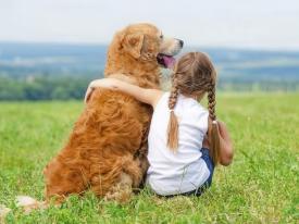 In den Kind & Hund Treffen haben Kinder die Gelegenheit einen sicheren Umgang mit Ihrem Vierbeiner zu erlernen.