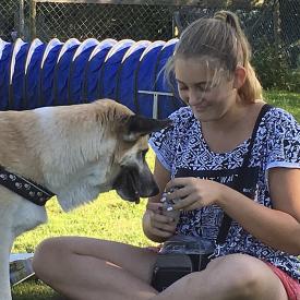 Kind und Hundegruppe