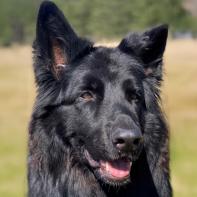 Alawa - Unsere zarte Blüte