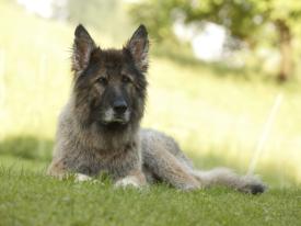 Unsere geliebte Namy Unsere geliebte Namy