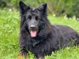 Glücklich und zufrieden Glücklich und zufrieden