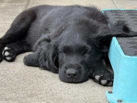 Glücklich und zufrieden Glücklich und zufrieden